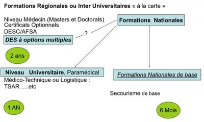 Formation transversale